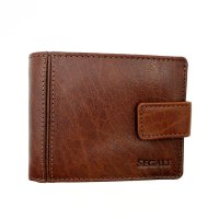 Pnsk koen penenka Segali 3491 TAN hnd, SEGALI