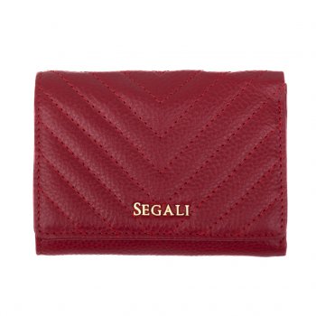 Mal penenka koen SEGALI 50514 erven, SEGALI