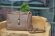 Ko�en� mal� kabelka p�es rameno 5085 taupe, MAXFLY