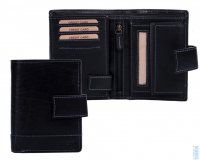 Pnsk koen penenka V-27/T ern, Lagen