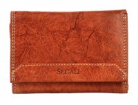 Koen penenka SG-7023 Z COGNAC prodn, SEGALI